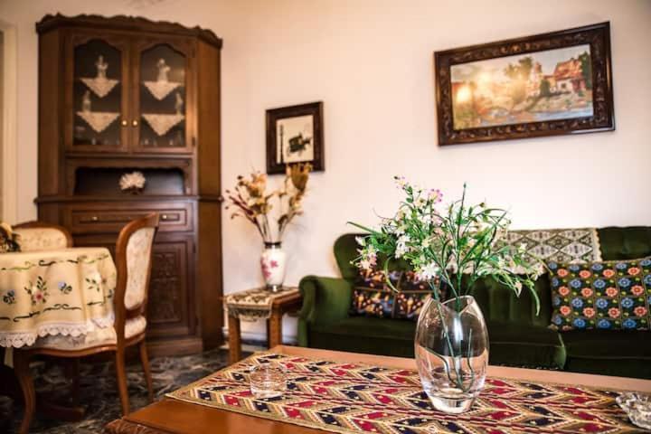 Traditional Antique Deco House Kalambaka Extérieur photo